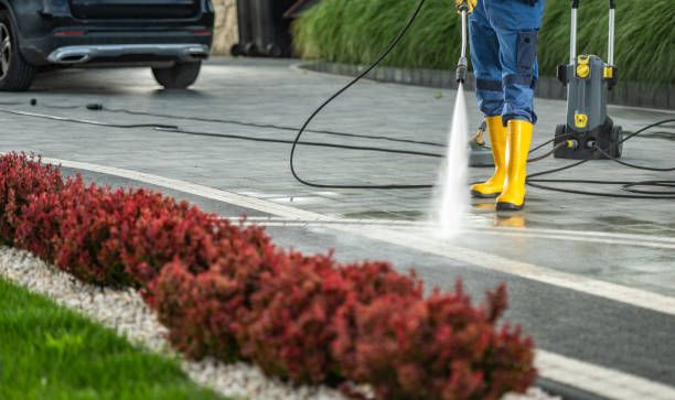Best Animal Enclosure Cleaning  in Whitesboro, AL